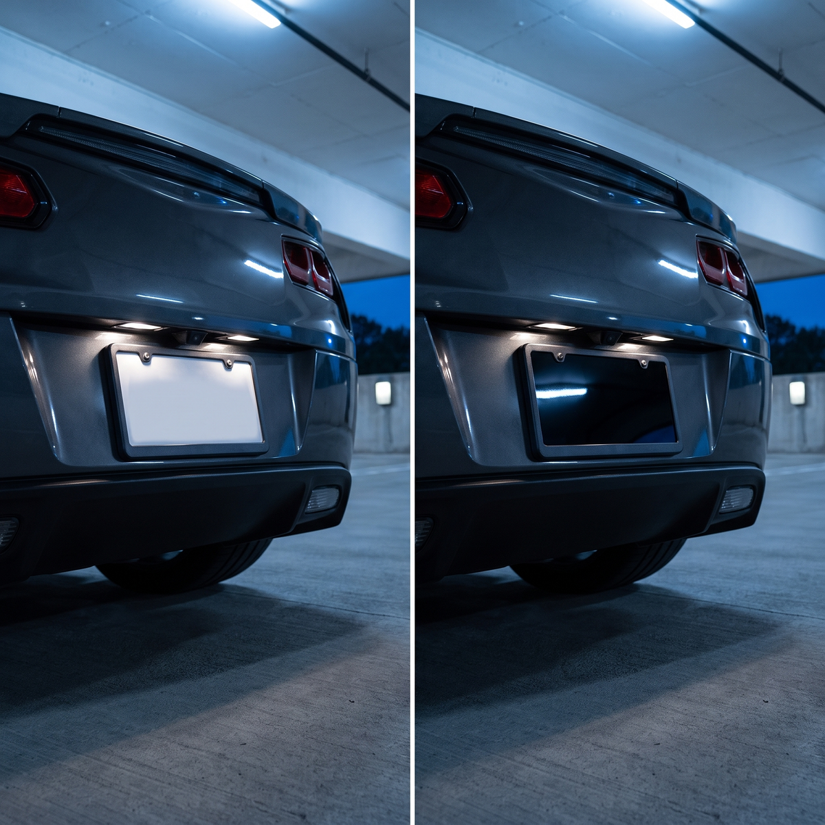 Remote License Plate Cover